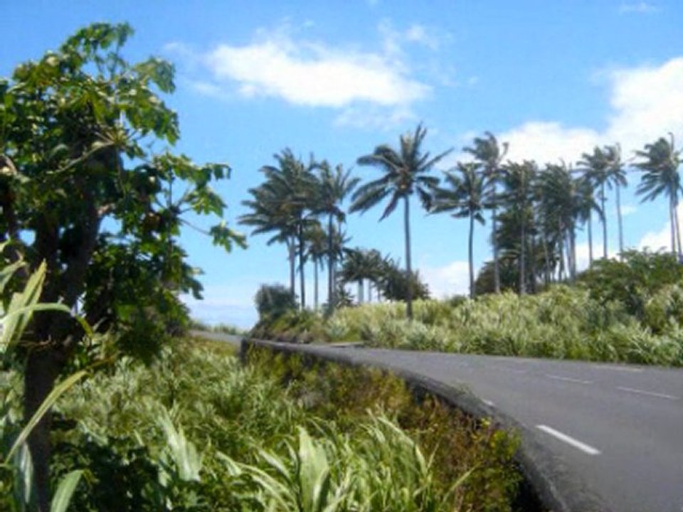 Ile de la REUNION Alexandra de Blasi