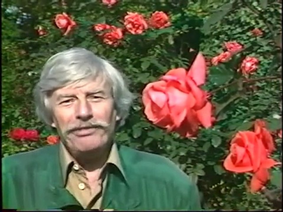 Jean Ferrat - L'Amour est Cerise