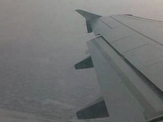 scientists taking off just fly out