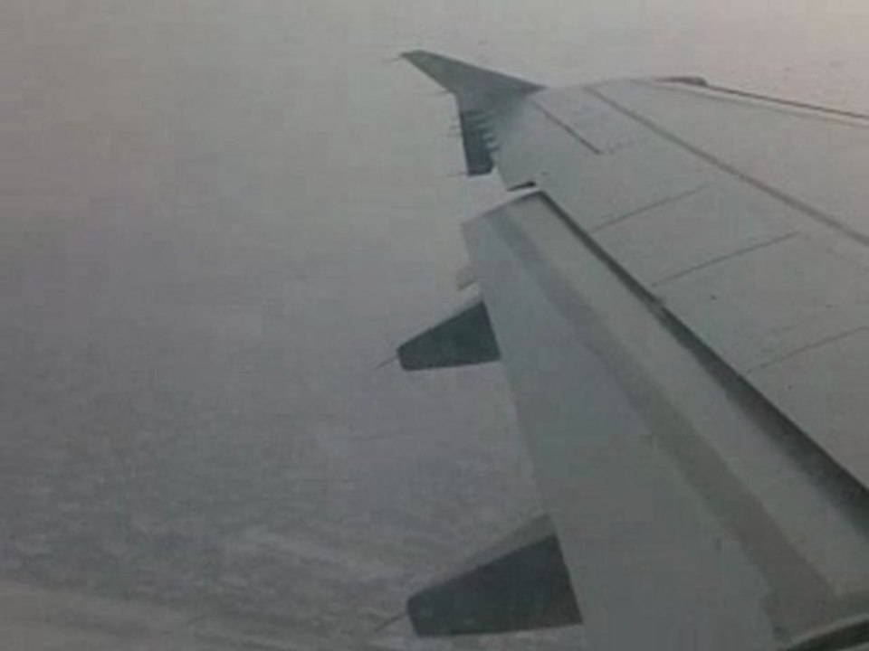 scientists taking off just fly out