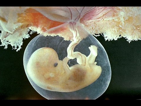 les signes de Dieu vidéo enfants musulmans de méru