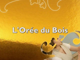 L'Orée du Bois - Vittel - Échappées Belles en Lorraine