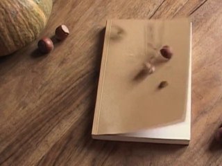 "Chute d'une noisette" – Bande-annonce n°2 - Henriette