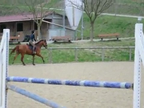 Droit x 2 (séance obstacle du 21 mars 2010)