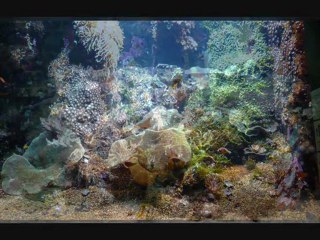 Cabanes à Calais + Nausicaa