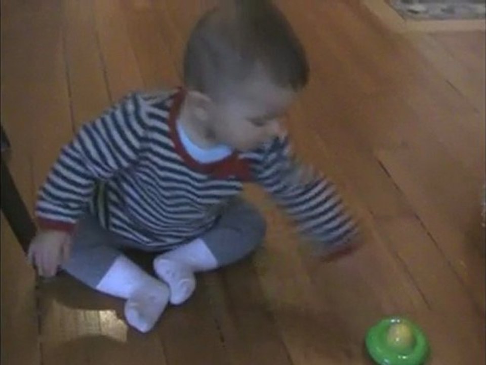 12 mars 2010 - Lou à quatre pattes