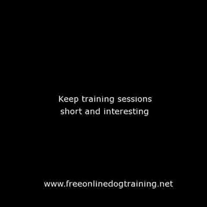 Free Online Dog Training