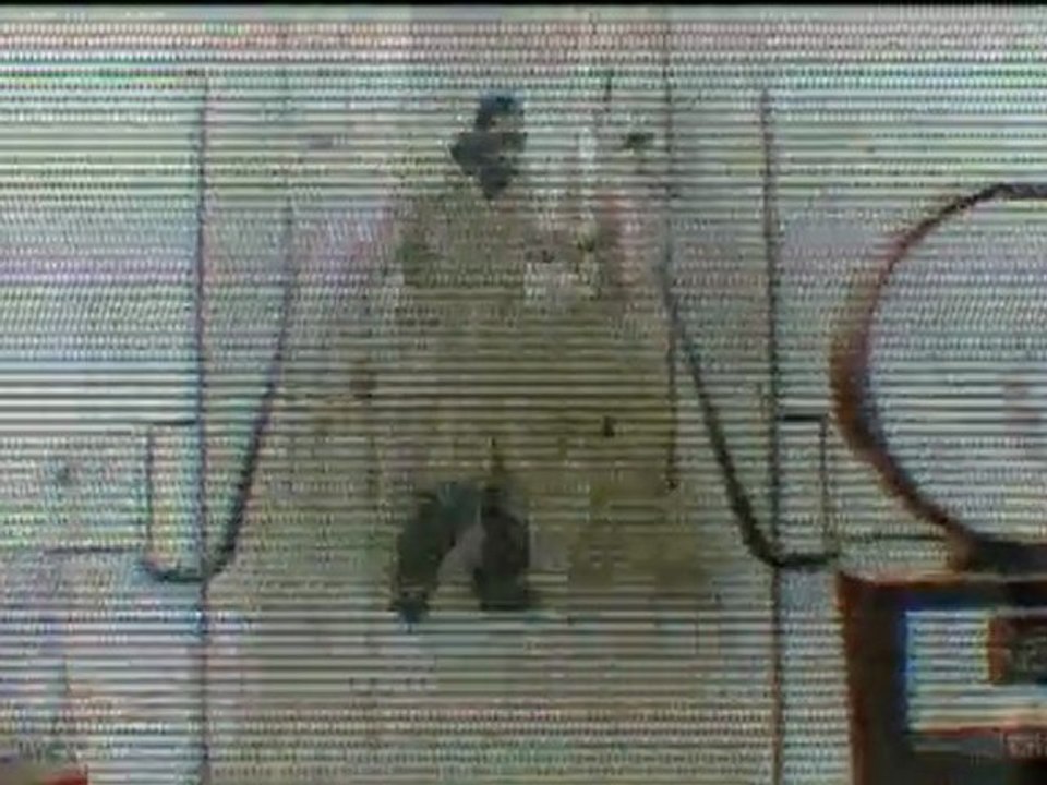 20100325