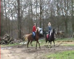 mars2010 obstacle indiana mustang