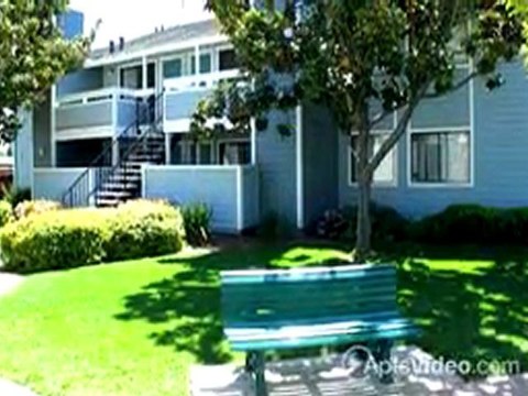 Cedar Glen Apartments in Campbell, CA - ForRent.com