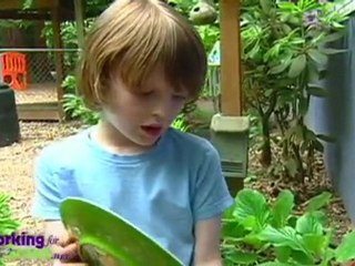 Working For Green - Happy Hollow Children's Center