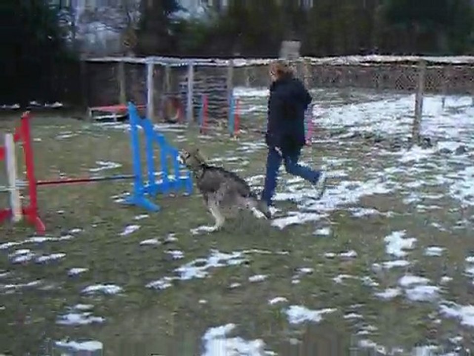 Agility