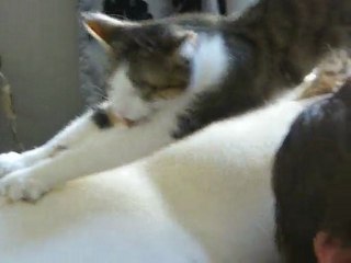 la toilette de Jeannot....