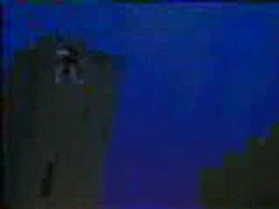 Gargoyles. Les anges de la nuit.