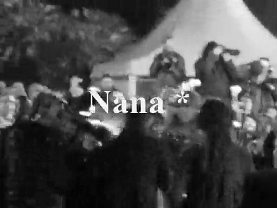 Nrj music awards 2010 David Guetta