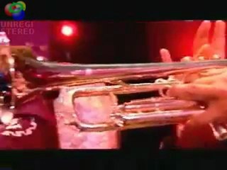 El Cascabel--Mariachi Vargas