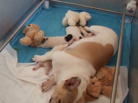 les bébés à 14 jours