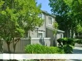 Peppertree Apartments in San Jose, CA - ForRent.com