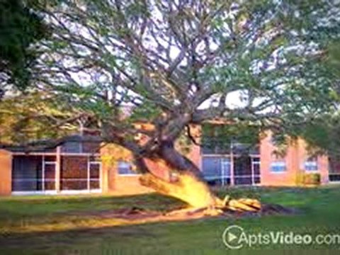 Avalon Square Apartments in Bradenton, FL - ForRent.com