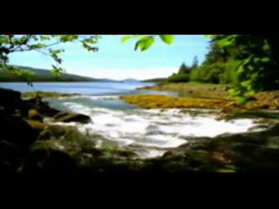 Tasavvuftan Damlalar-1