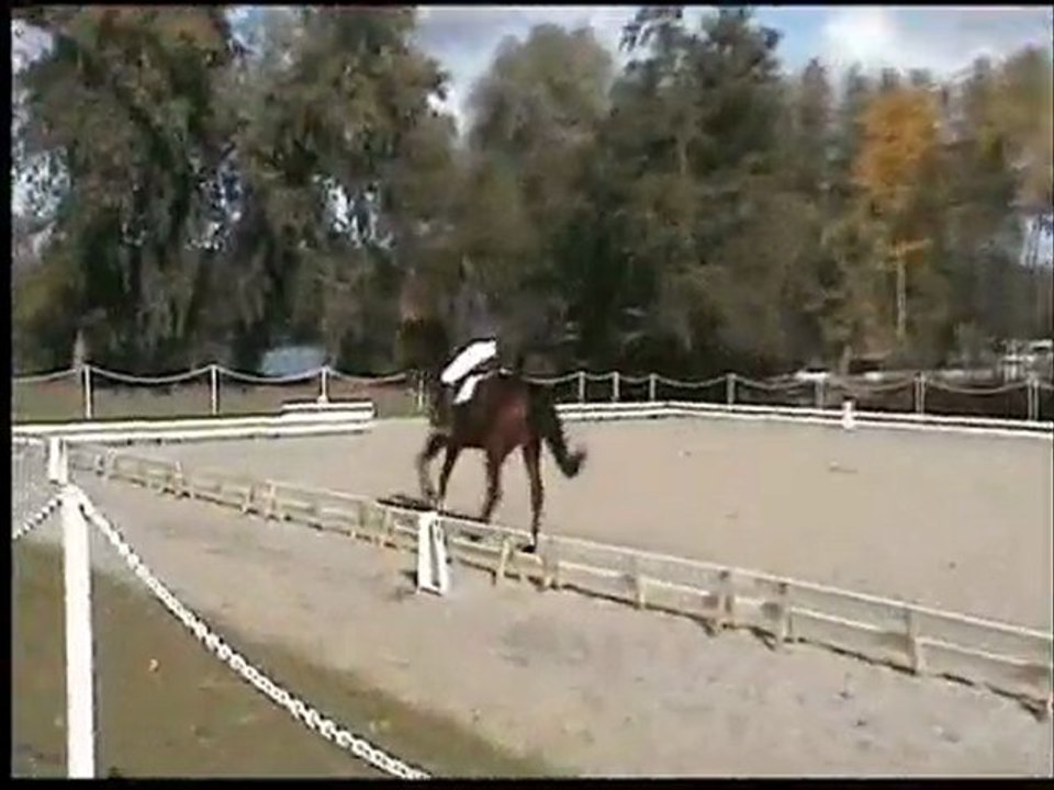 CCE à Fontenay sur Eure Amateur 2 le 10 octobre 2009