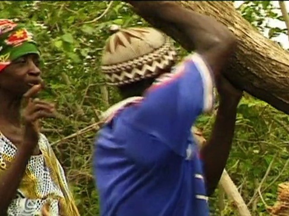 bande de démonstration