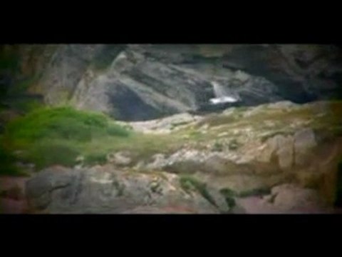 enver yılmaz ZORUNAMI GİTTİ GARDAŞ