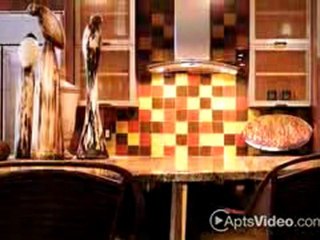 The Alexander at The Perimeter Apartments in Atlanta, ...