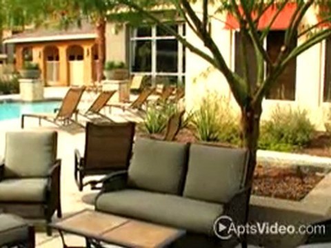 The Residences At Stadium Village Apartments in ...