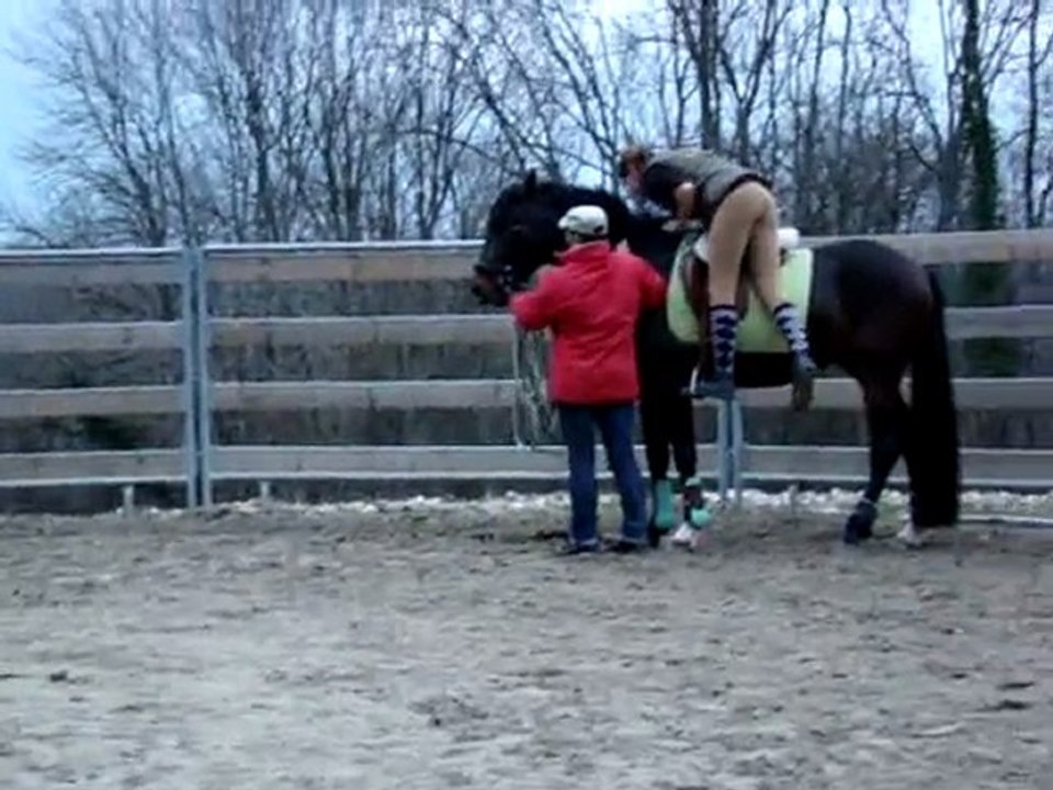 Stage dressage mars 2010
