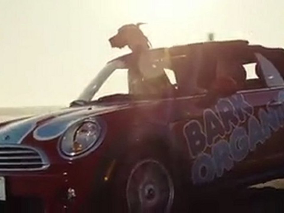 Marmaduke - Trailer / Bande-annonce #1 HQ [VO]