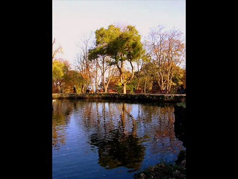 Sürmeli Arğuz`dan Has Müzik-Laçi 2010