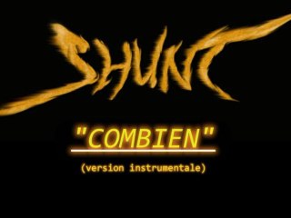 SHUNT- (CZP) combien-version instrumentale