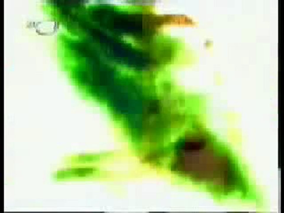 sebnemferahclub.com şebnem ferah Müzik Dergisi Programı