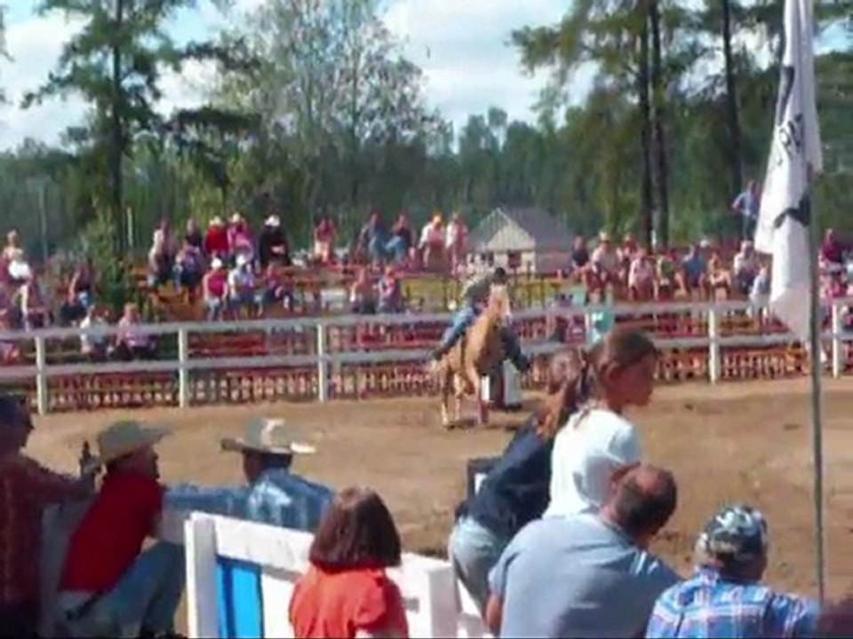 Nos chevaux vendu par J-C Daudelin