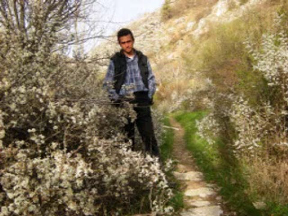 sorkun kasabası  çiçekler