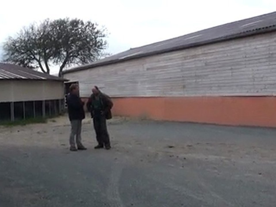 trotteurs a la plage