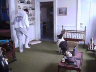 Sweet Chin Music to Maynard the Dog 2