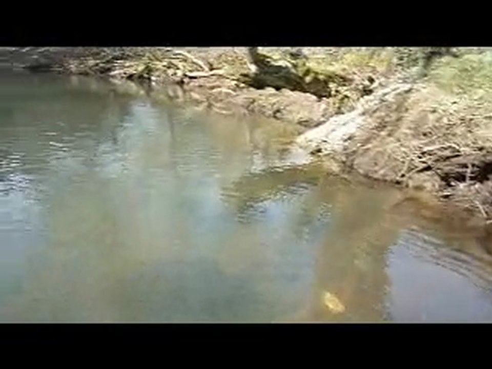 Jours de pêche ouverture 2010