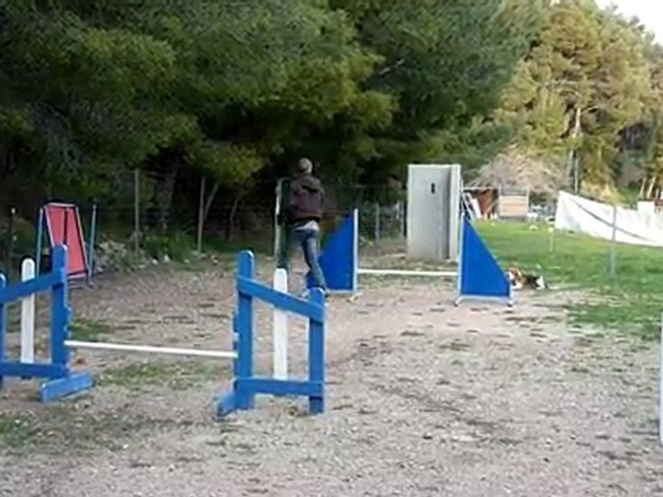 1 04 2010 entraînement agility