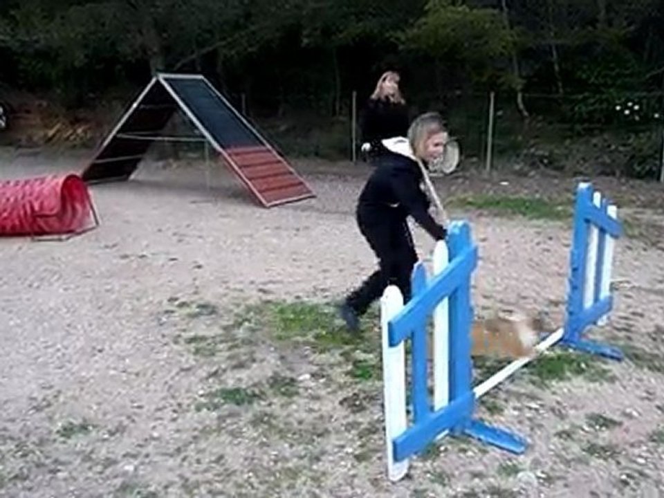 1 04 2010 entraînement agility