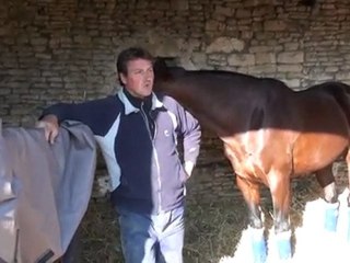 gef et maurice vue par vincent