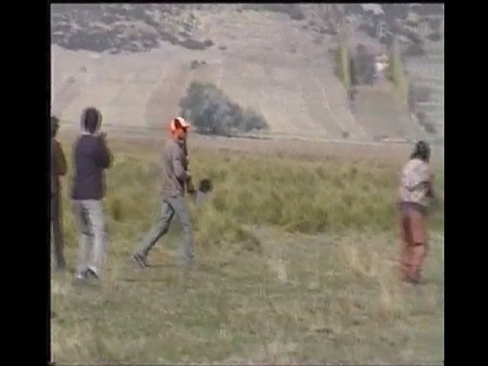 drahthaar bodo vom rosenvehn  burdur ferma 2