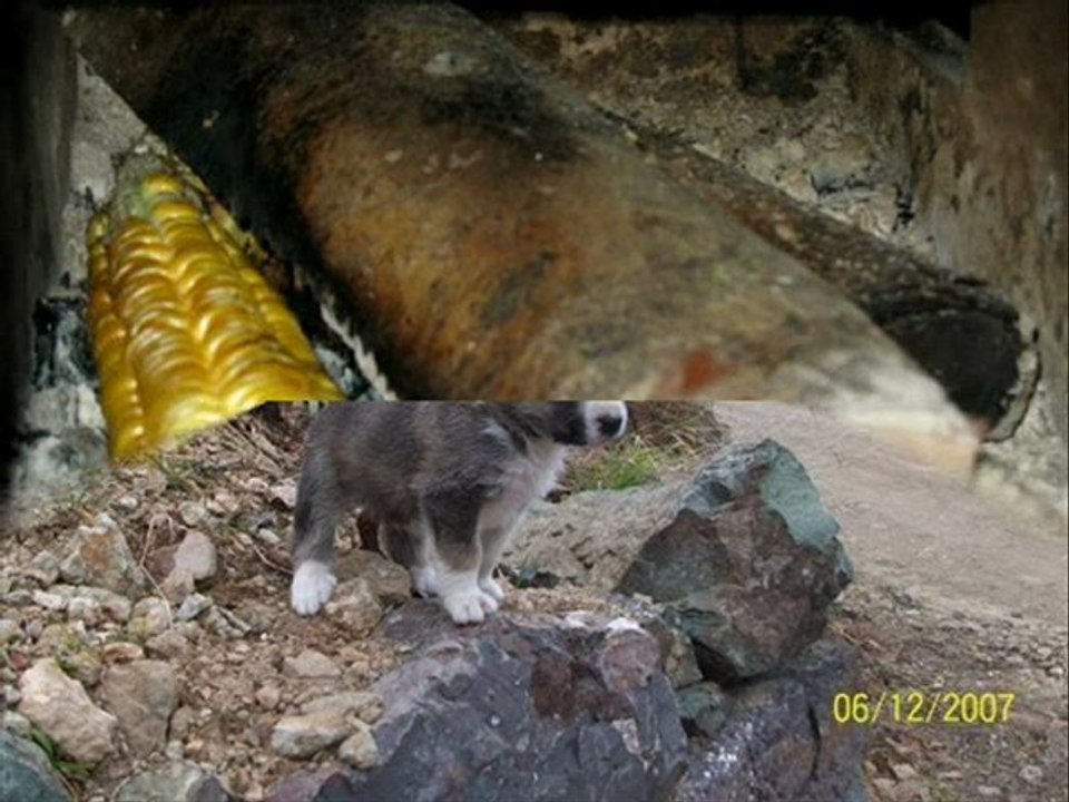 çamlıhemşin yaylalar-13 www.kavrun.tr.gg