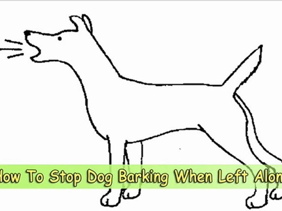 Learn How To Stop Dog Barking When Left Alone