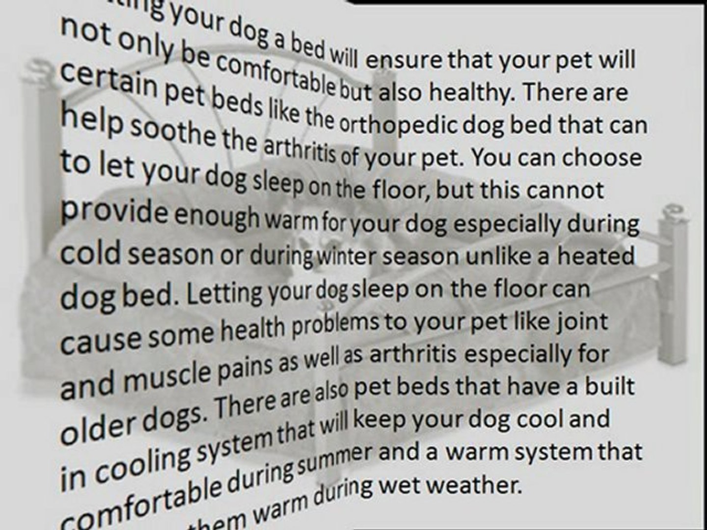 ⁣Pet Pet Supplies