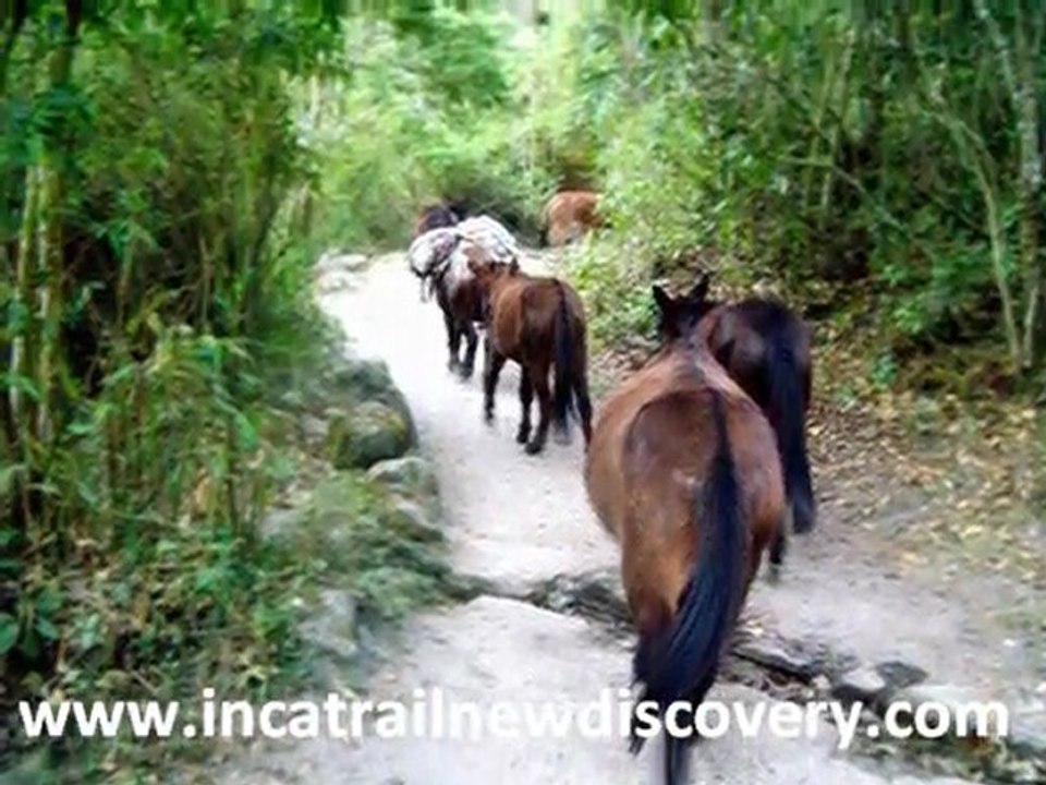 INCA TRAIL