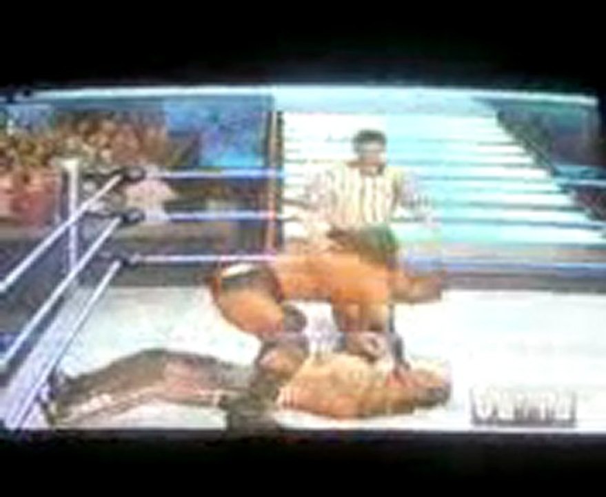WMHBK-animal