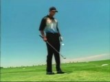 Tiger Woods ballances a golf ball, but what should he ...