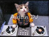 Austin dj Marriage License Records Check And Public Marriage